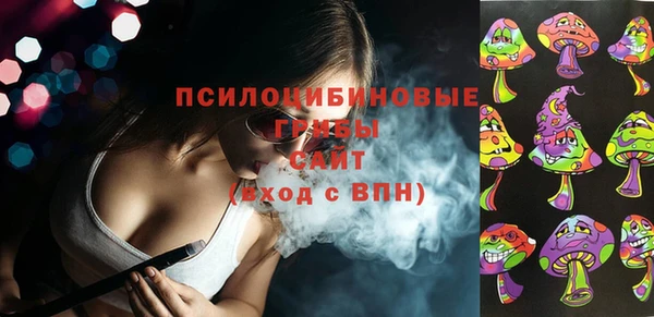 дживик Абинск