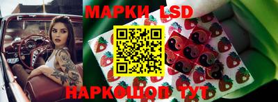 крисы Гай