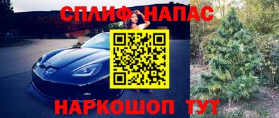 МДПВ Гагарин
