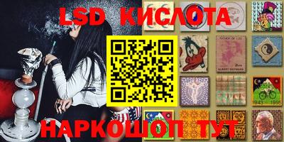 крисы Гай