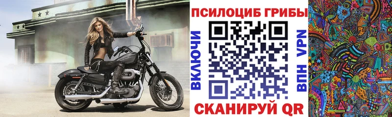Псилоцибиновые грибы Psilocybine cubensis  дарнет шоп  Иваново 